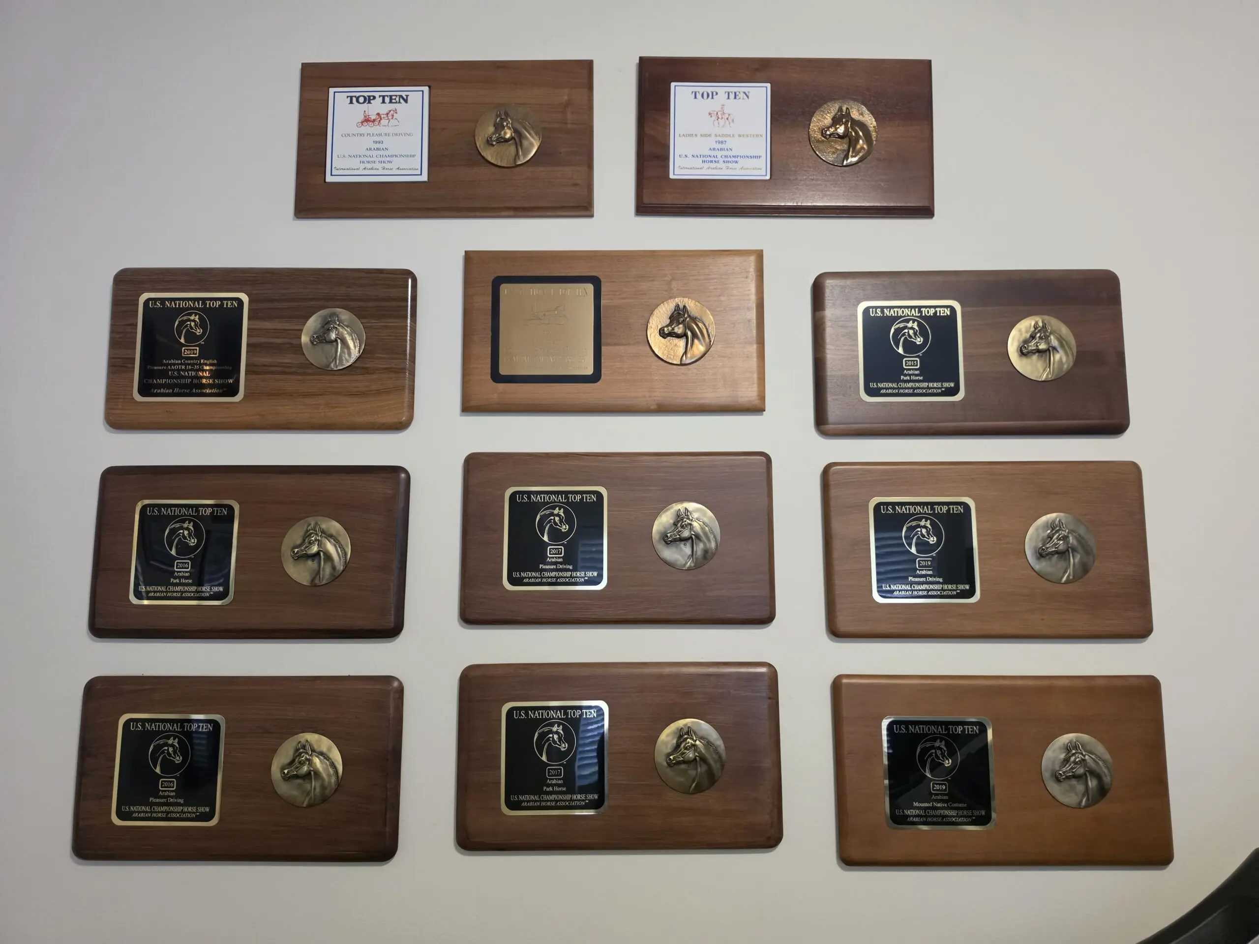 Sarah Hopkins and the show horse awards
