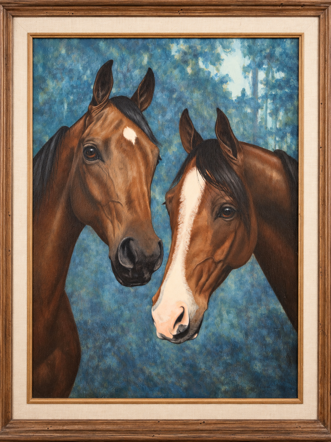 Healthy Aging - Sarah's horses Danny and Bush