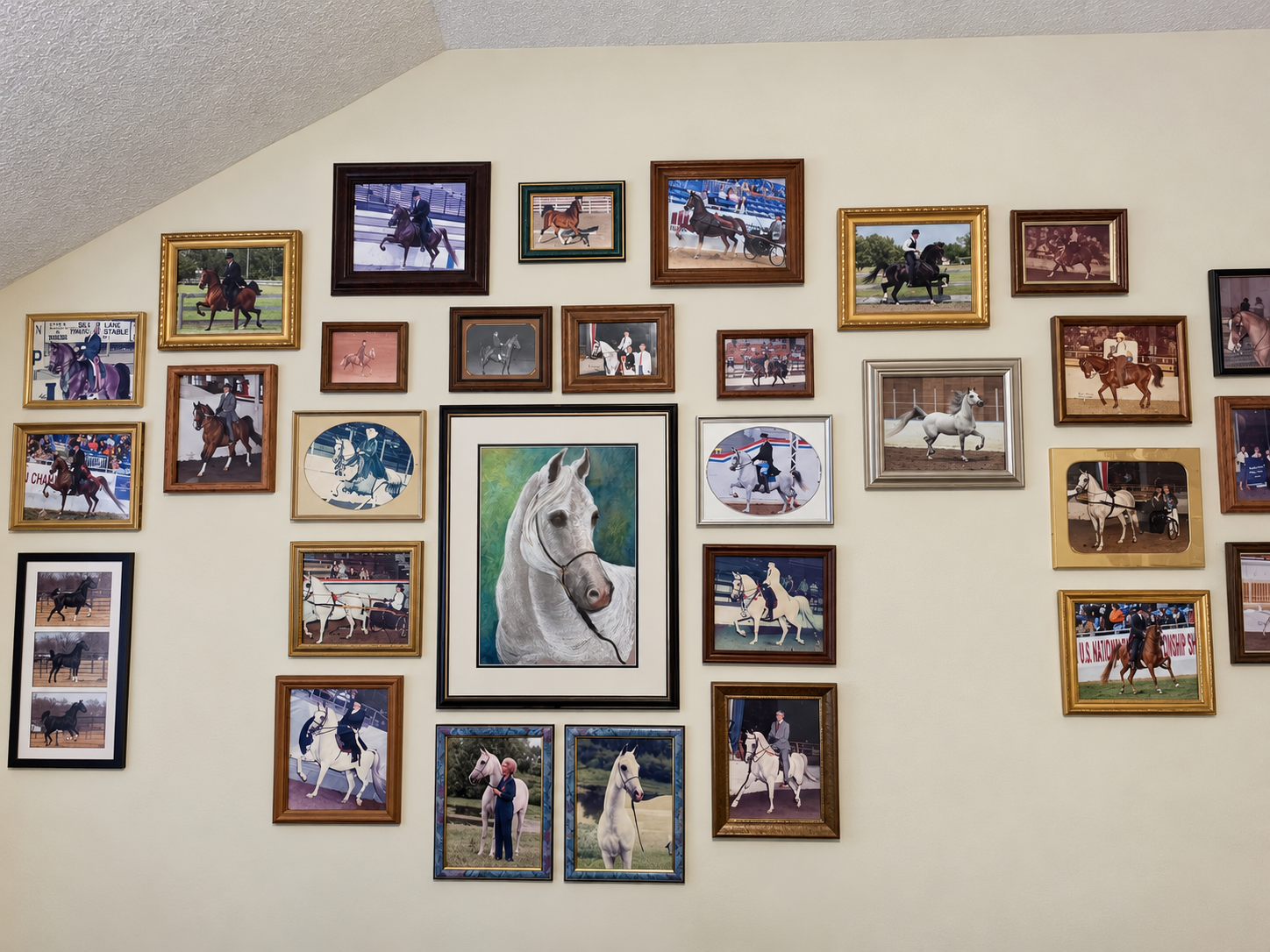 Village Shalom resident Sarah Hopkins' horses