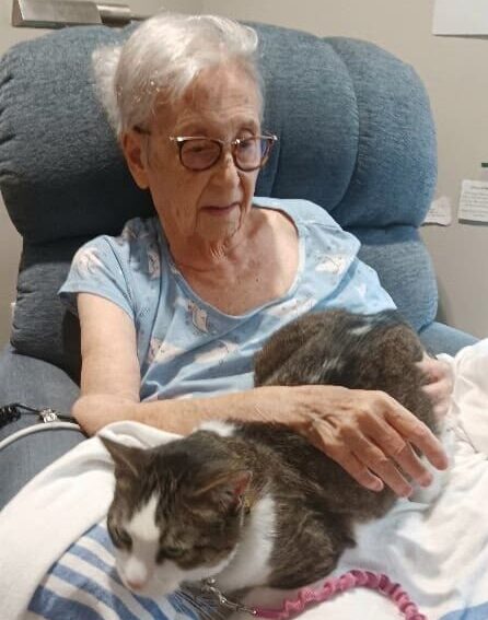 Therapy cat Hazel visits Sonja