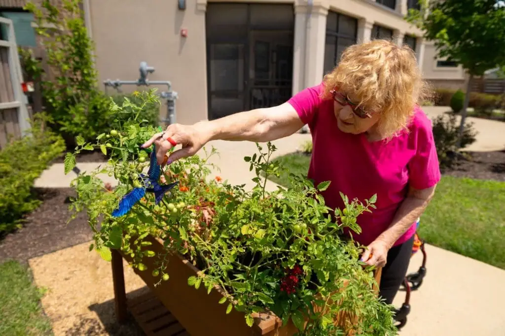 An image of a senior woman planting flowers from her home at Village Shalom, a specialized memory care community in Overland Park, KS.